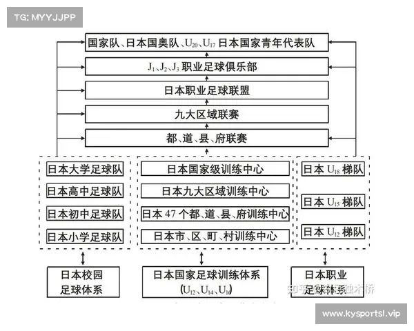 日本青训篮球体系的崛起与进步速度之谜解读